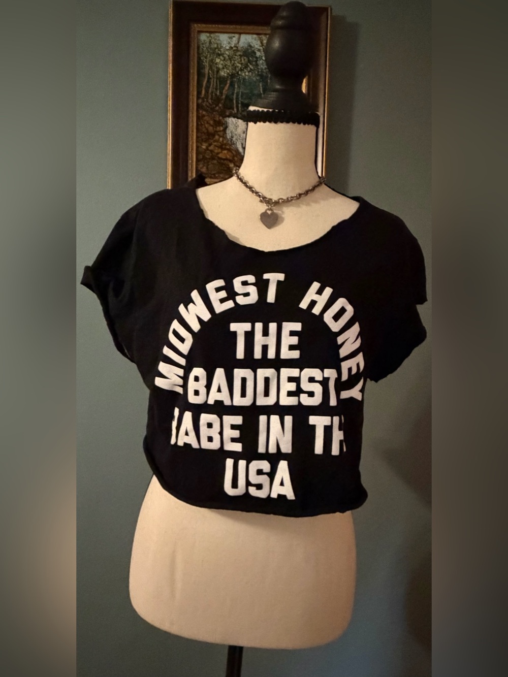 Golden Gems Midwest Honey Baddest Babe In The USA Black Graphic DIY Crop Top Tee
